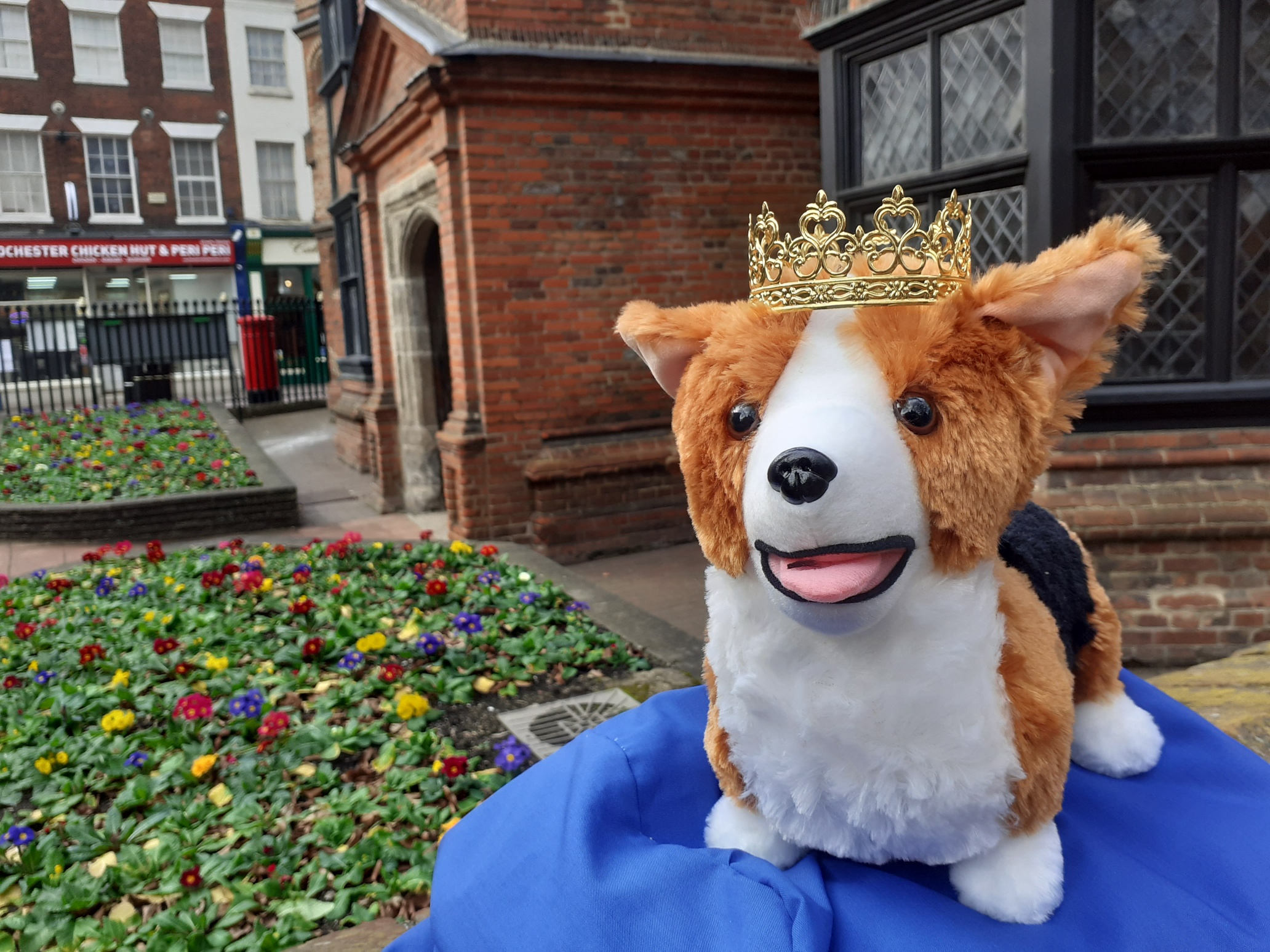 Eastgate House Queenscorgis 1