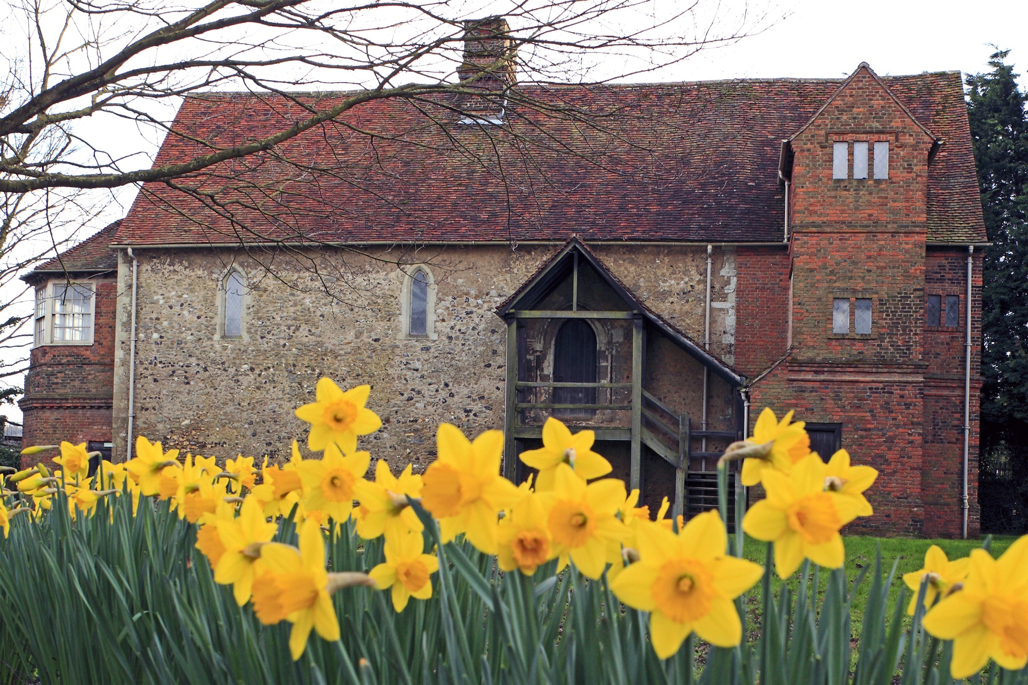 Temple_Manor in spring.jpg
