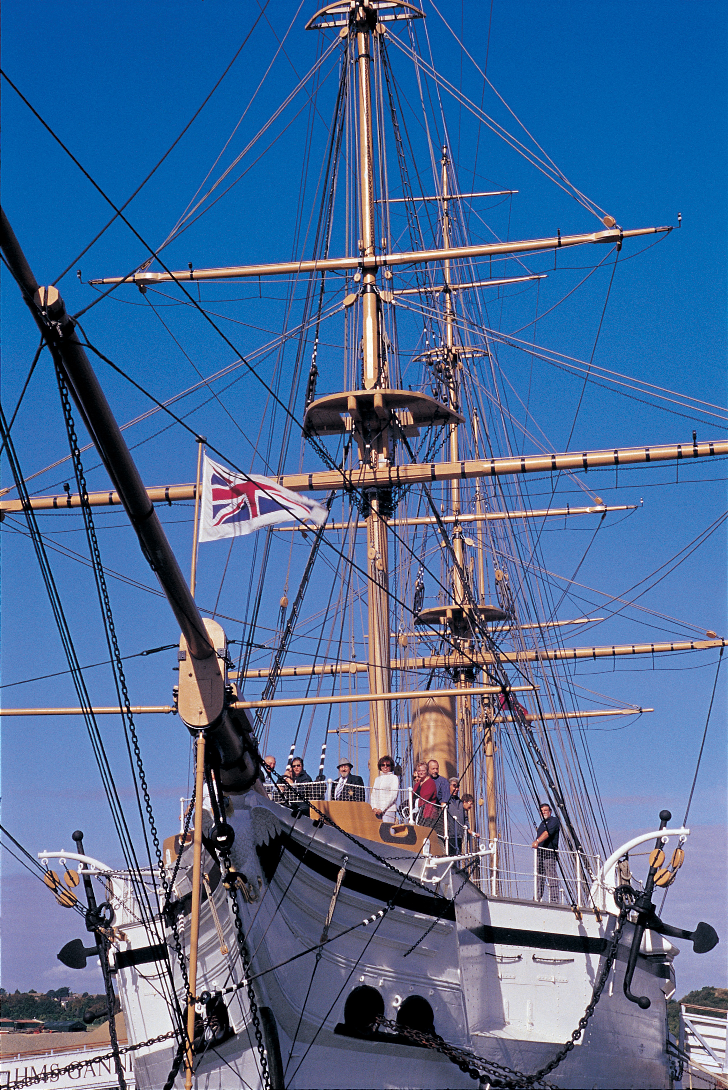 Gannet for pop up.jpg